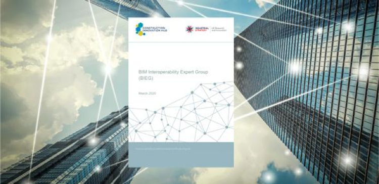 BIM Interoperability Expert Group Report