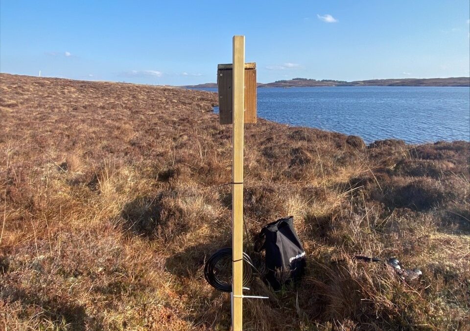Peatland health to be monitored with IoT trial in the Western Isles