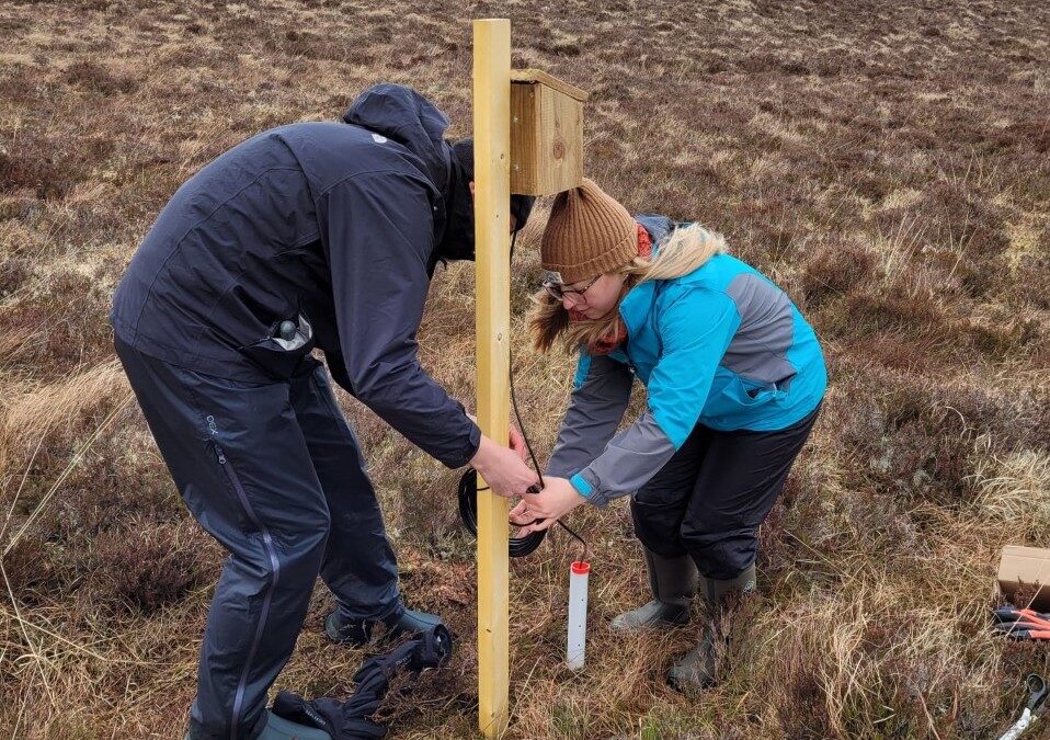Peatland IoT pilot project to continue after ‘significant success’, say researchers