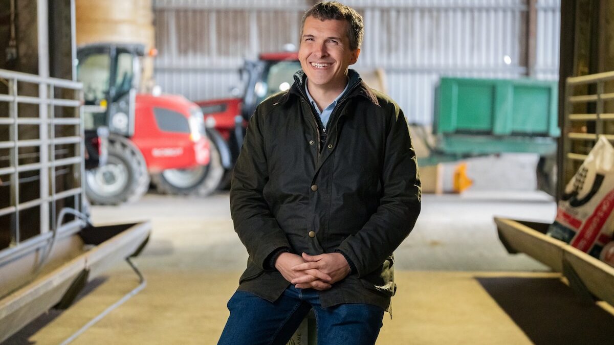 Tech company awarded funding to develop AI tool for earlier diagnosis of canine osteoarthritis